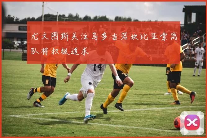 尤文图斯关注乌多吉若坎比亚索离队将积极追求